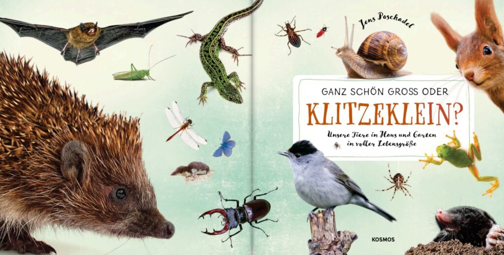 Ganz schön groß oder klitzeklein? - Übersicht mit Buchtitel und verschiedenen Tierabbildungen