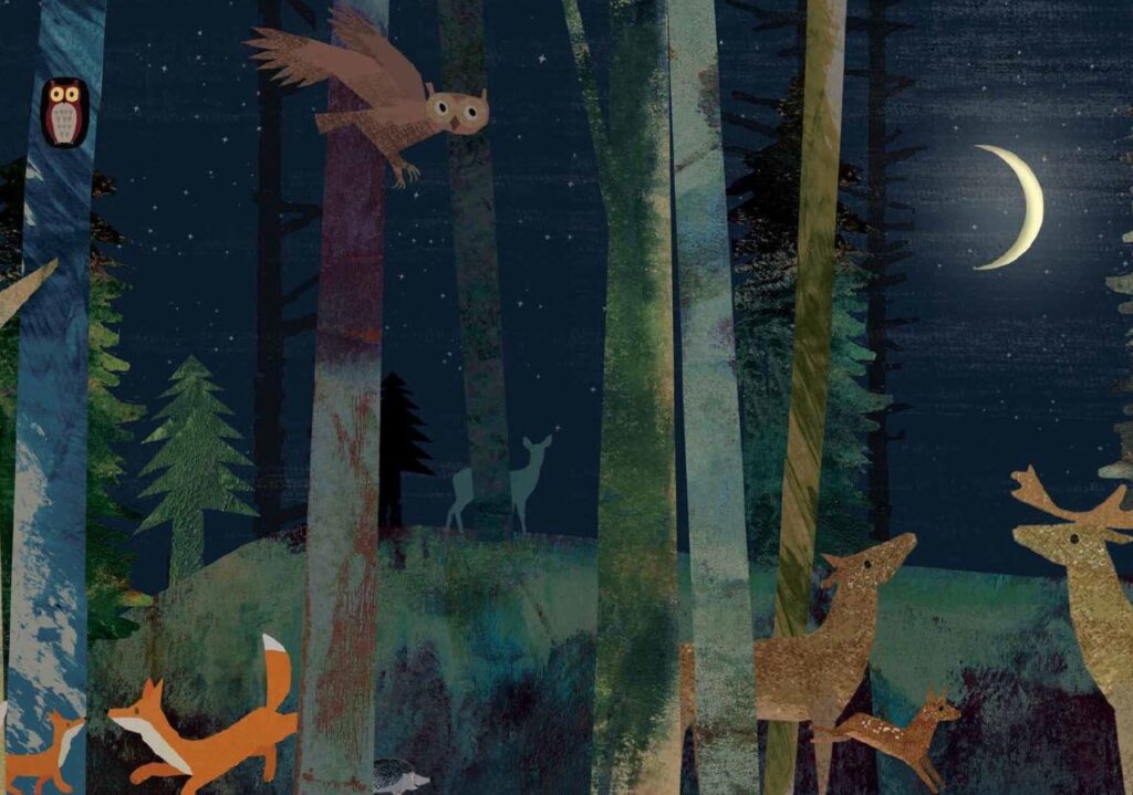 Mond - Eine Reise durch die Nacht - Im Wald mit Tieren