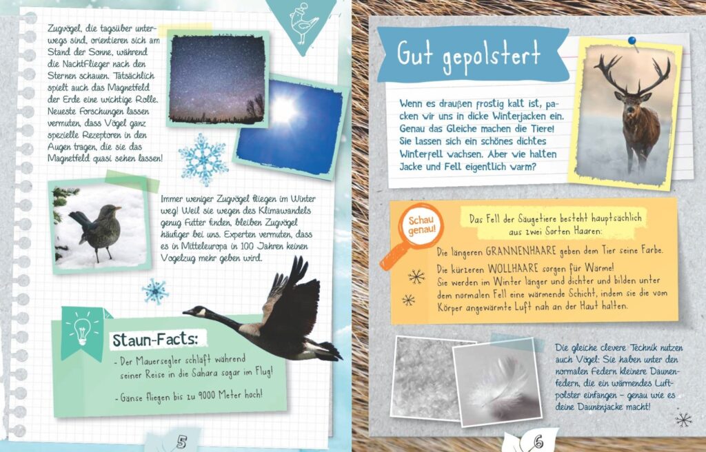 Naturforscher im Winter - Fakten und Sachwissen zu Tieren im Winter