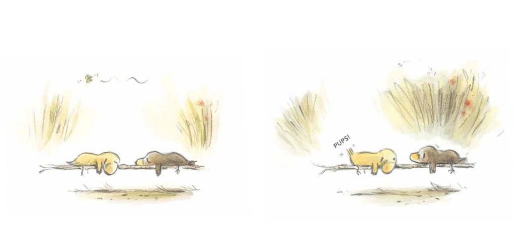 Pfff ... Die zwei Vogelkinder hängen auf einem Ast rum