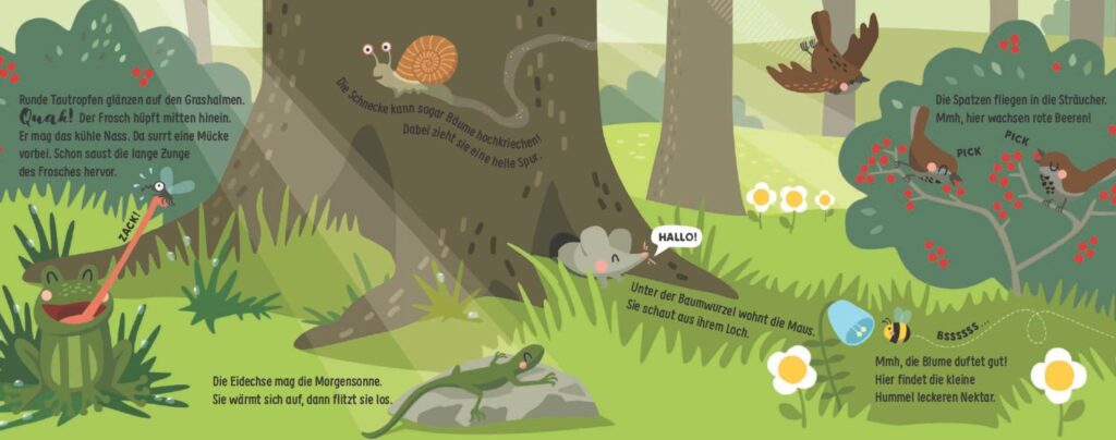 Wenn der Wald erwacht - Tiere am Waldboden