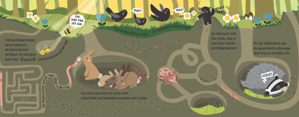 Wenn der Wald erwacht - Tiere unter der Erde