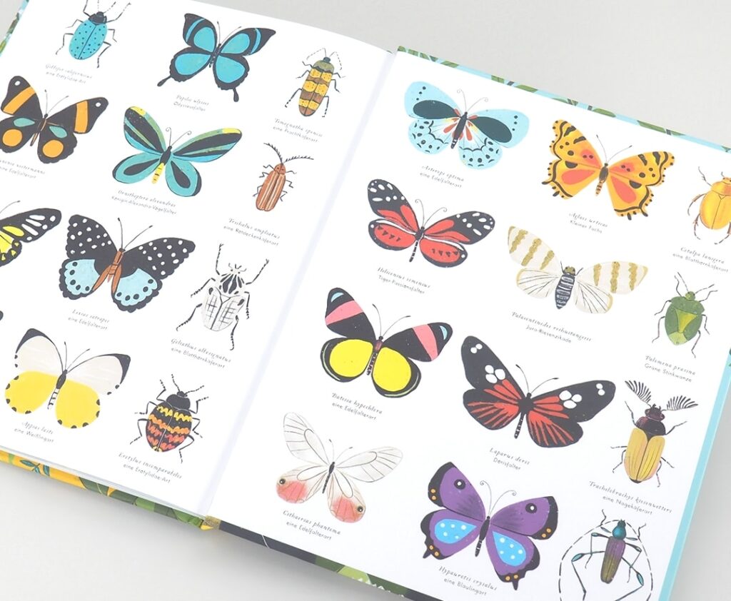 Darwins Entstehung der Arten - Schmetterlingsarten im Buch dargestellt