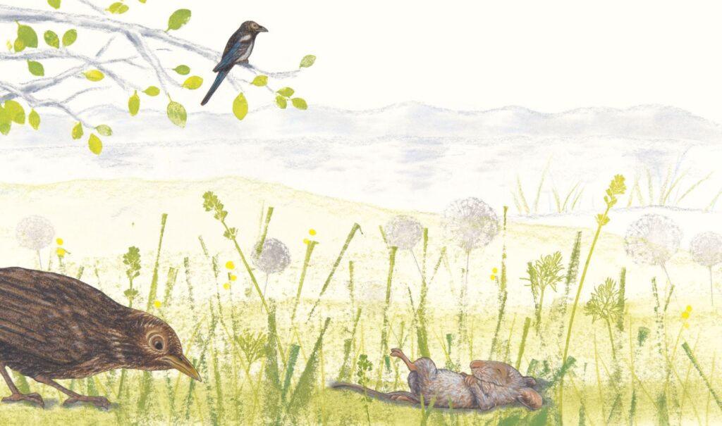 Ei, Ei, Ei! Die Maus hilft aus - Die Maus liegt faul im Gras