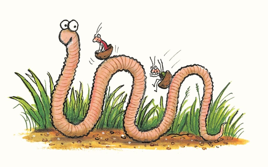 Superwurm: Wurm mit Käfern in Nusshälften auf ihm rutschend