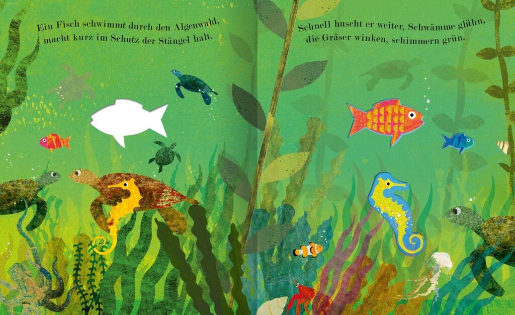 MEER - Die Welt unter den Wellen: Fische zwischen Algen