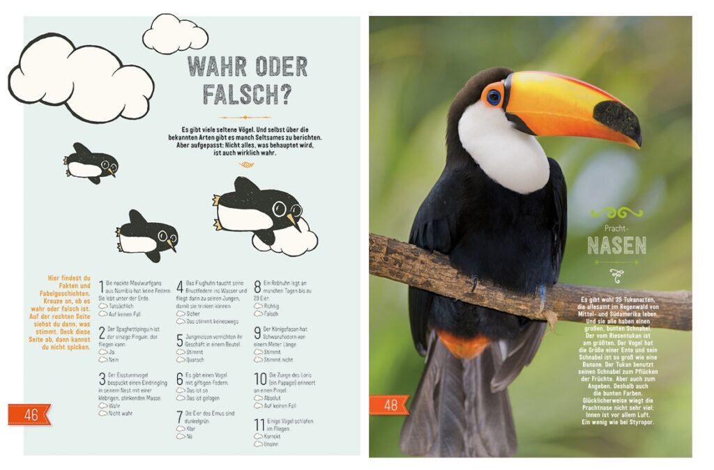 Vögel: 11 Aussagen über Vögel, die wahr oder falsch sein können und ein Foto von einem Tukan