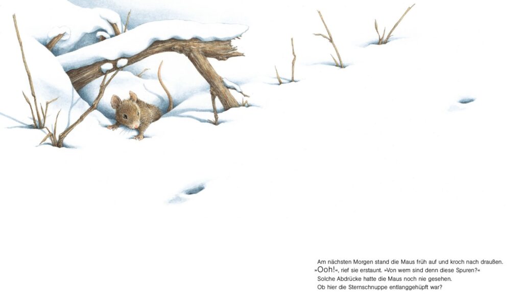 Eine Sternschnuppe im Schnee: Maus sieht Spuren im Schnee