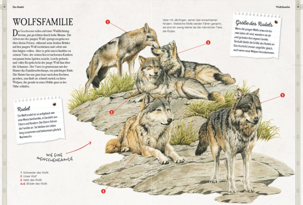 Verborgene Welt der Wölfe: Wolfsfamilie beschrieben und abgebildet