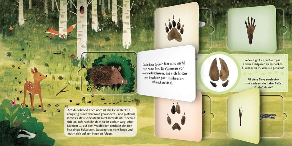 Wer läuft denn da?: Innenansicht des Bilderbuches mit Klappen zu Tierspuren auf dem Waldboden