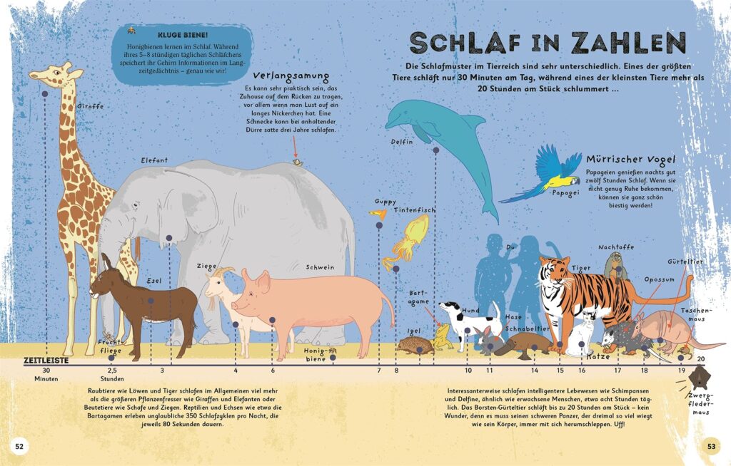 Alles übers Schlafen: Schlaf in Zahlen und Zeitleiste mit Tieren