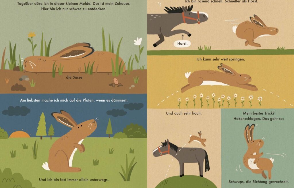 Ich bin der Hase: Eigenschaften und Fähigkeiten von Hase dargestellt
