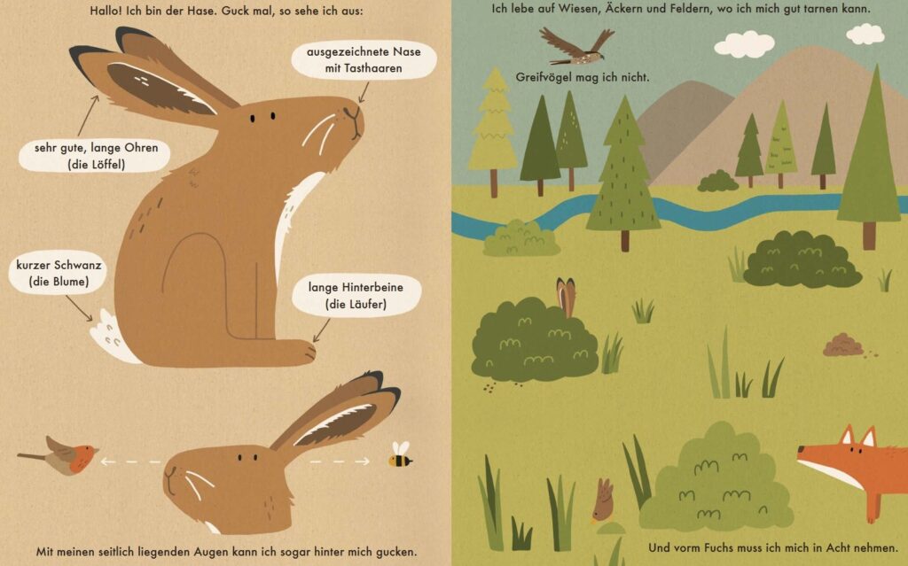 Ich bin der Hase: Hase vor- und dargestellt