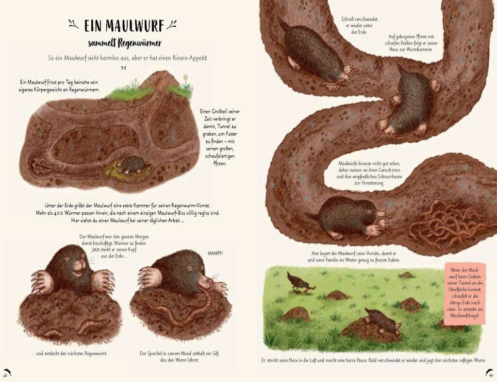 Wunder der Natur zum Innehalten und Staunen: Maulwurf vor- und dargestellt