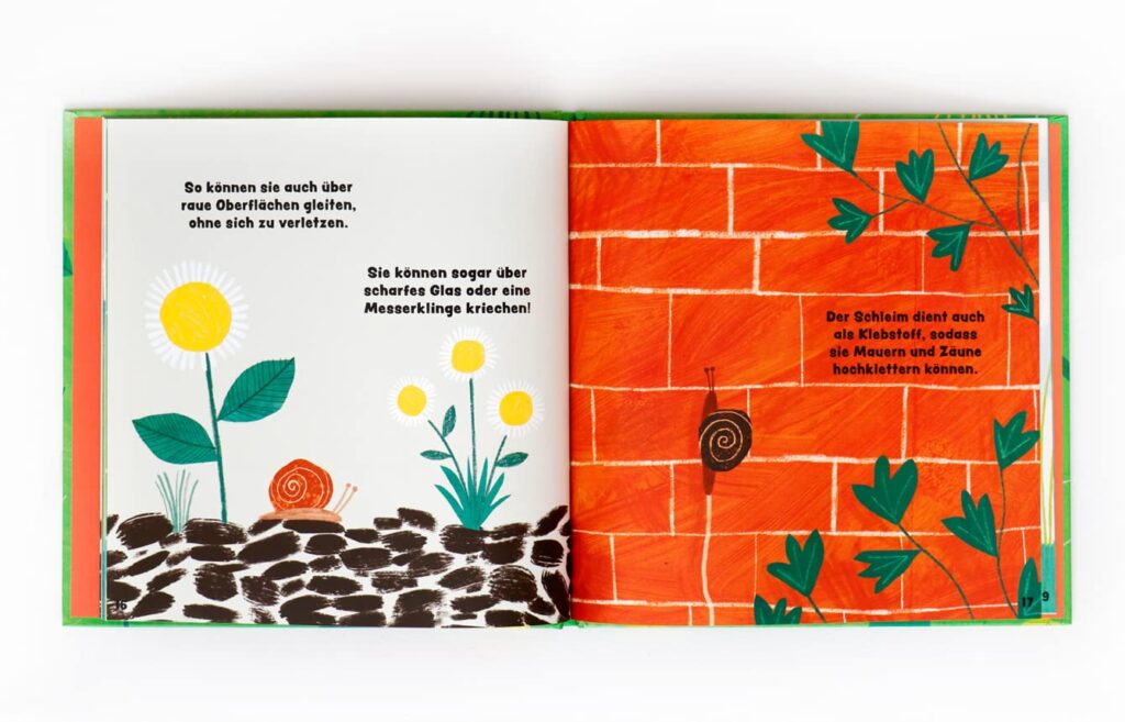 Schnecken: Blick ins Kinderbuch - Schnecke auf dem Boden und an der Wand