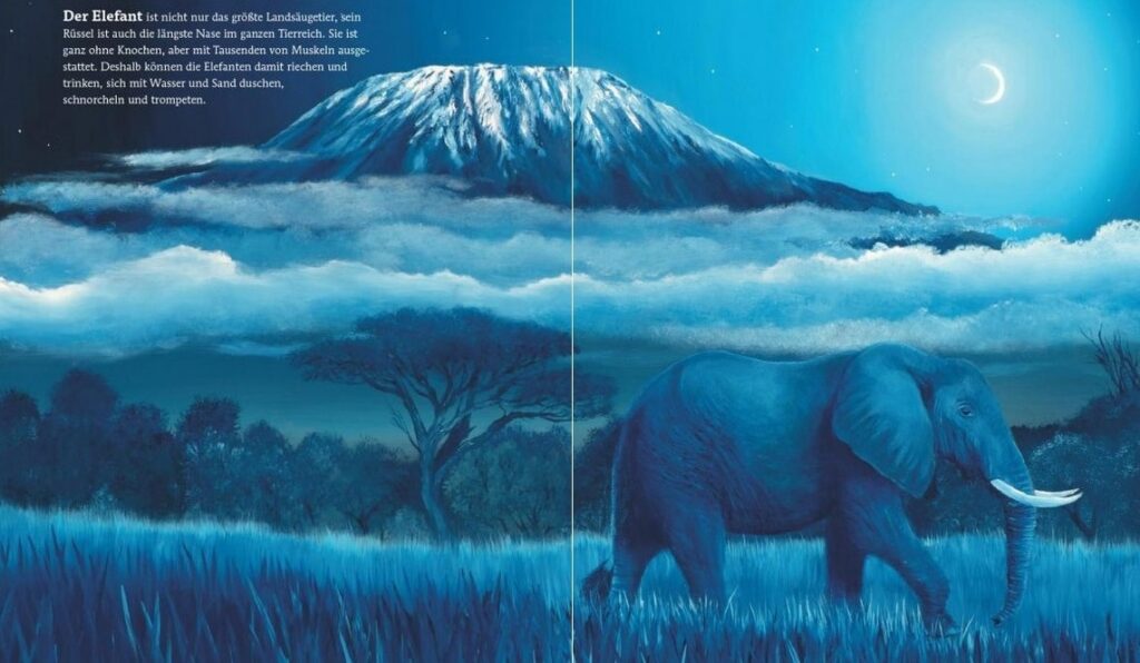 Wer schläft, wer wacht in der Nacht?: Elefant bei Nacht