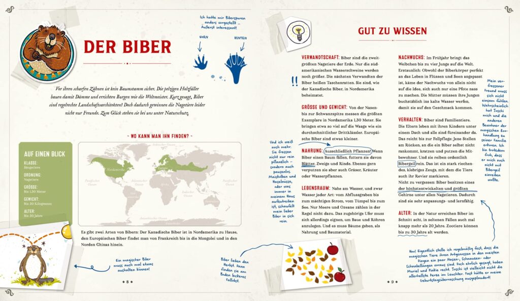 Mister Morrisons gesammeltes Tierwissen: Der Biber vorgestellt