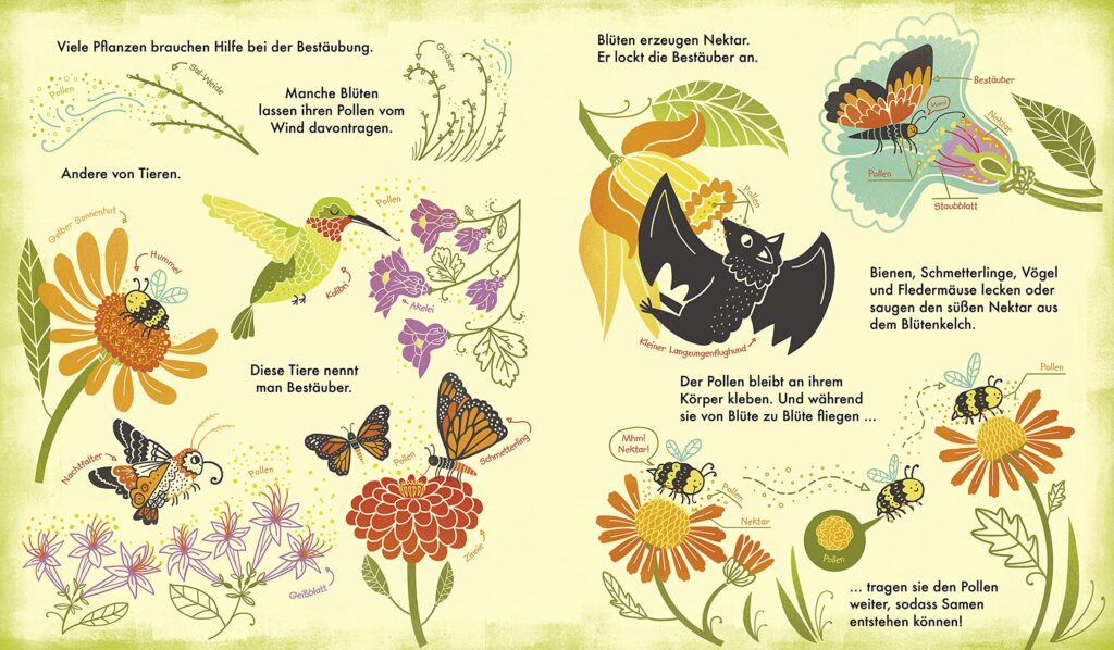 Das Wunder einer Blume: Erklärung und Darstellung zur Bestäubung