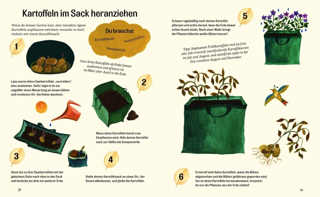 Kleine grüne Daumen: Beschreibung und Abbildungen zum Kartoffeln im Sack heranziehen