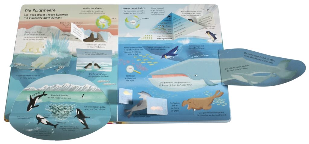 Aufgeklappt und viel entdeckt - Im Meer: Blick ins Buch zu den Polarmeeren und Tieren mit kurzen Informationen