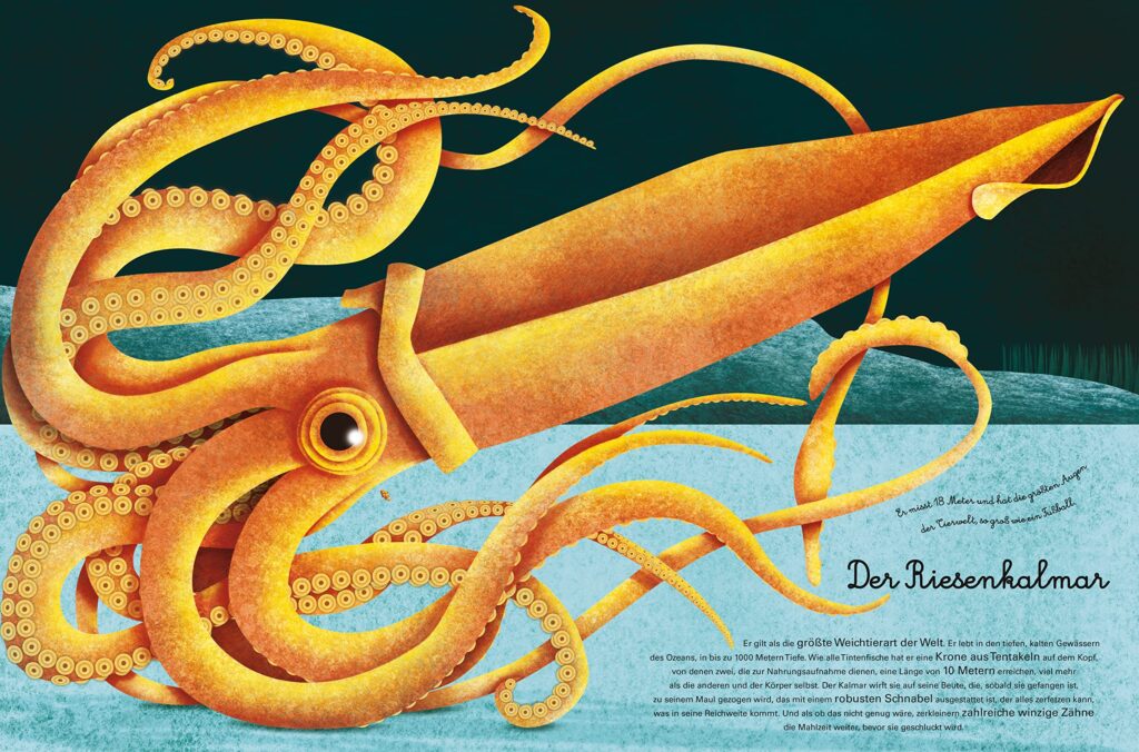 Das große Buch der Seetiere: Der Riesenkalmar abgebildet und beschrieben