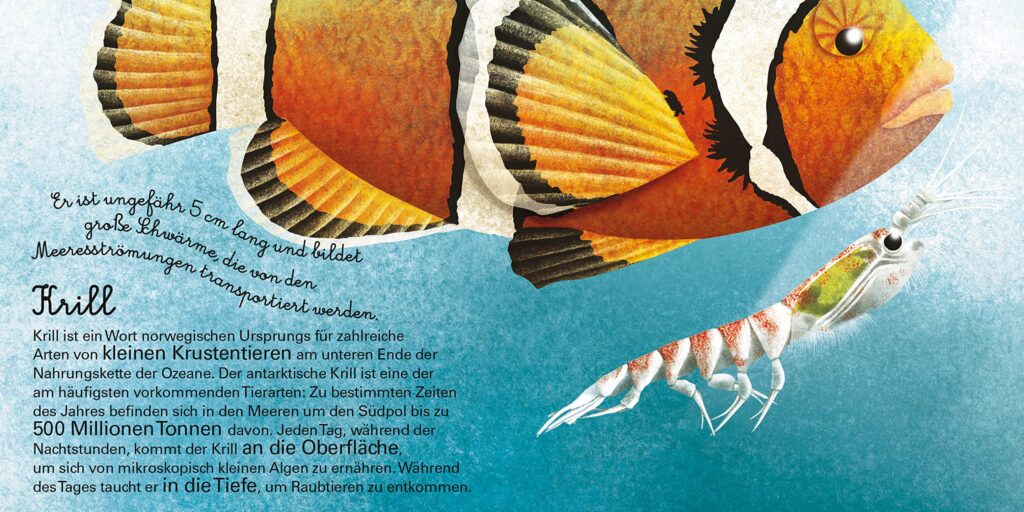 Das kleine Buch der Seetiere: Krill abgebildet und beschrieben
