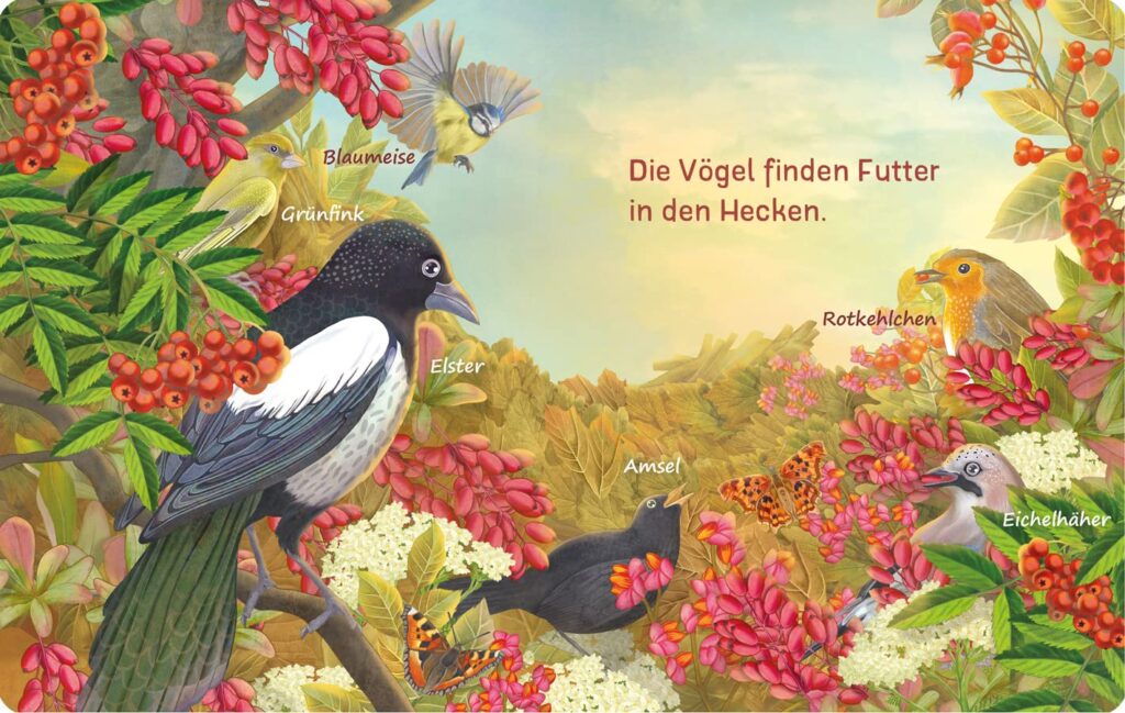 Es raschelt was im Laub! - Verschiedene Vögel und ihr Futter deargestellt