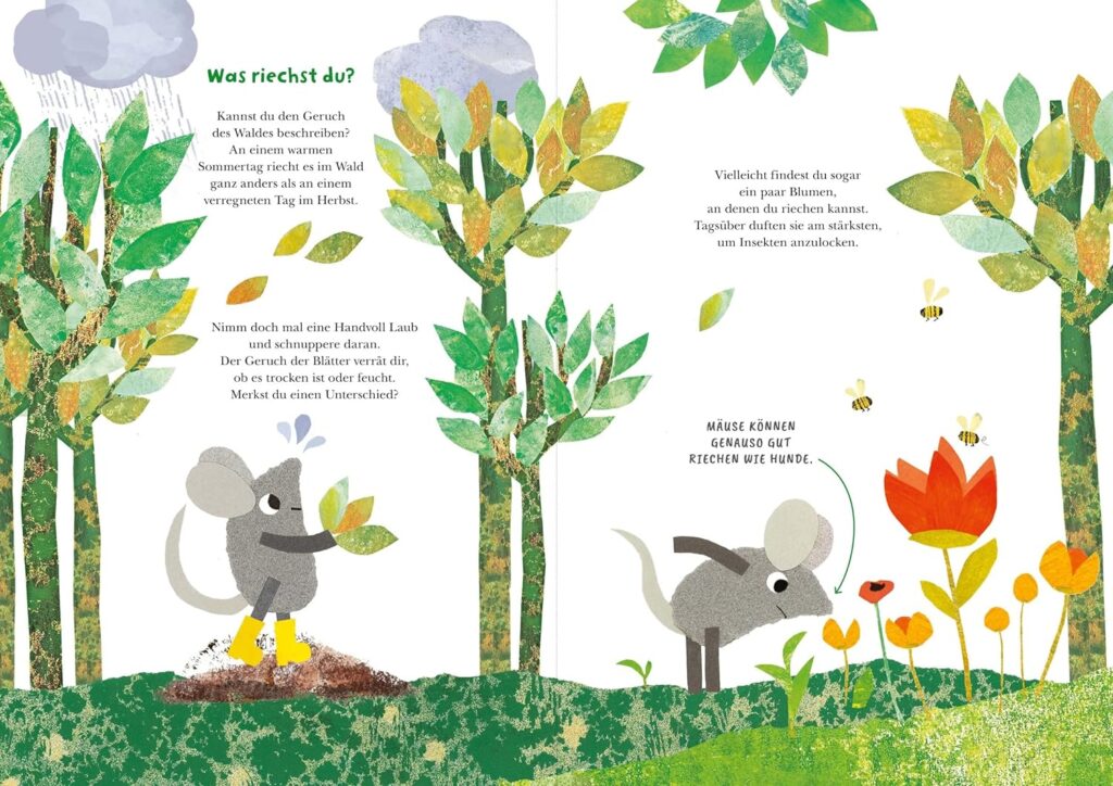 Frederick und seine Freunde – Komm wir erkunden den Wald - Gerüche des Waldes vor- und collageartig mit grauer Maus dargestellt