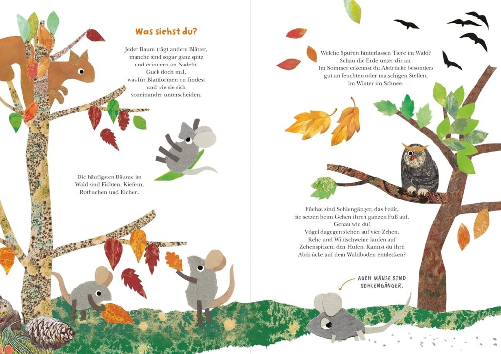 Frederick und seine Freunde – Komm wir erkunden den Wald - Merkmale der Natur im Wald beschrieben und collageartig bebildert