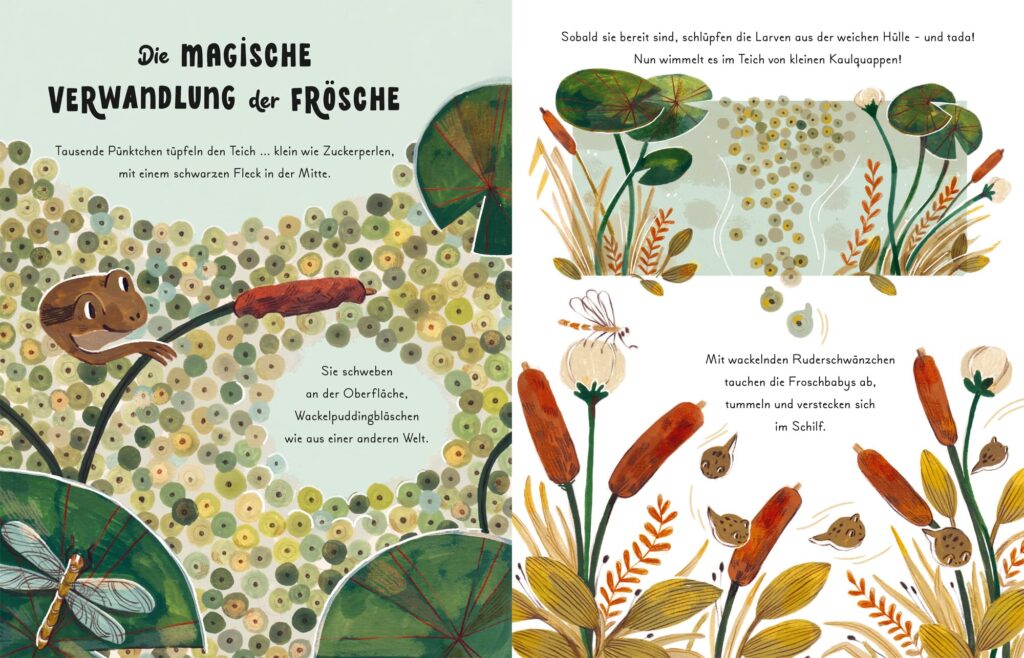 Kleine und große Wunder der Natur - Die magische Verwandlung der Frösche beschrieben und dargestellt