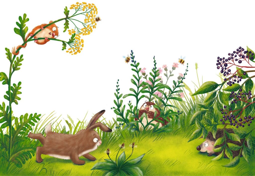 Oh, Schreck! Wer hat sich hier versteckt?: Rebhuhn, Igel und Haselmaus sind verstecktin der Wiese und Kaninchen sucht