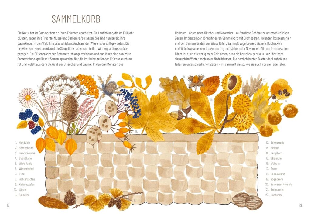 Beere Blatt Schere - Sammelkorb vor- und dargestellt