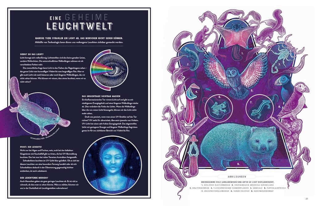 Glow – Das wundersame Leuchten der Natur - Eine geheime Leuchtwelt beschrieben und leuchtend bebildert