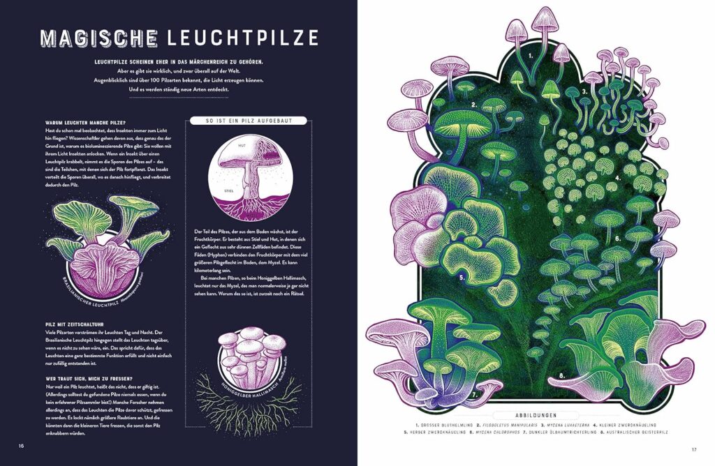 Glow – Das wundersame Leuchten der Natur - Magische Leuchtpilze vor- und dargestellt
