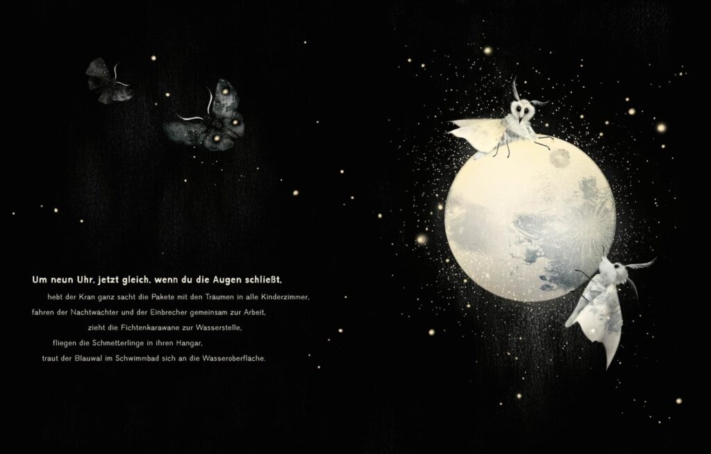 Was macht die Nachrt? - Nachtfalter am Mond, graue Schmetterlinge auf schwarzem Hintergrund mit weißem Text