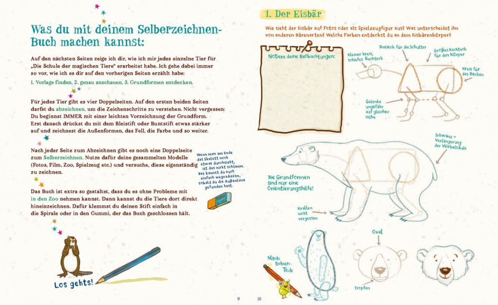 Die Schule der magischen Tiere - Selberzeichnen - Erklärung und Anleitung zum Zeichnen eines Eisbären