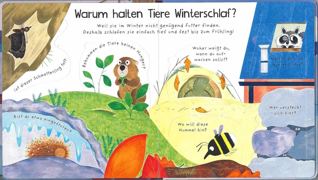 Wo sind die Tiere im Winter? - Kurze Erklärung zum Winterschlaf von verschiedenen Tieren im Bilderbuch mit Klappen