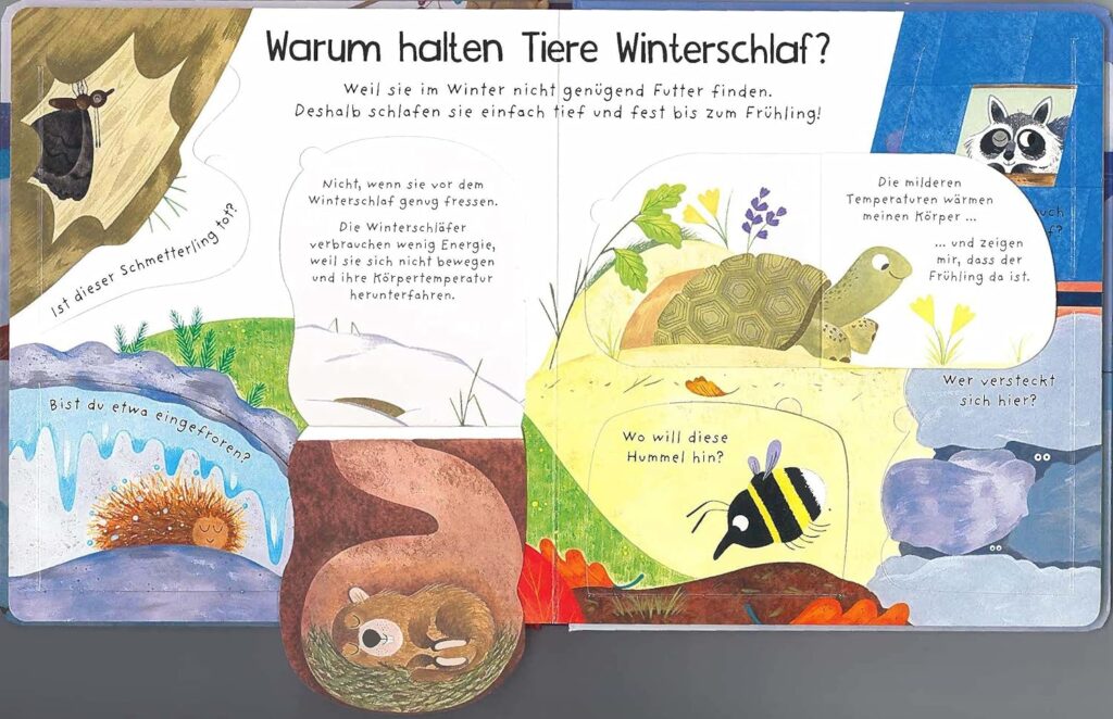 Wo sind die Tiere im Winter? - Blick ins Bilderbuch mit Klappen auf verschiedene Tiere