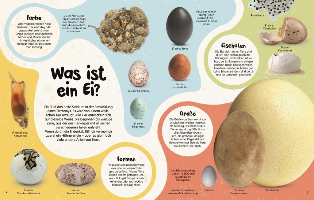 Aus dem Ei - Was ist ein Ei?: Erklärung und diverse Eierabbildungen