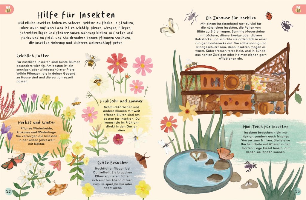 Bei mir blüht's! - Hilfe für Insekten beschrieben und bebildert mit kleinem Insektenhotel, Pflanzen und Insekten