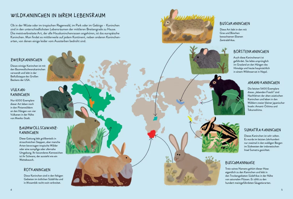 Nenn mich nicht Hase! - Wildkaninchen in ihrem Lebensraum mit Weltkarte und Abbildung kurz vorgestellt