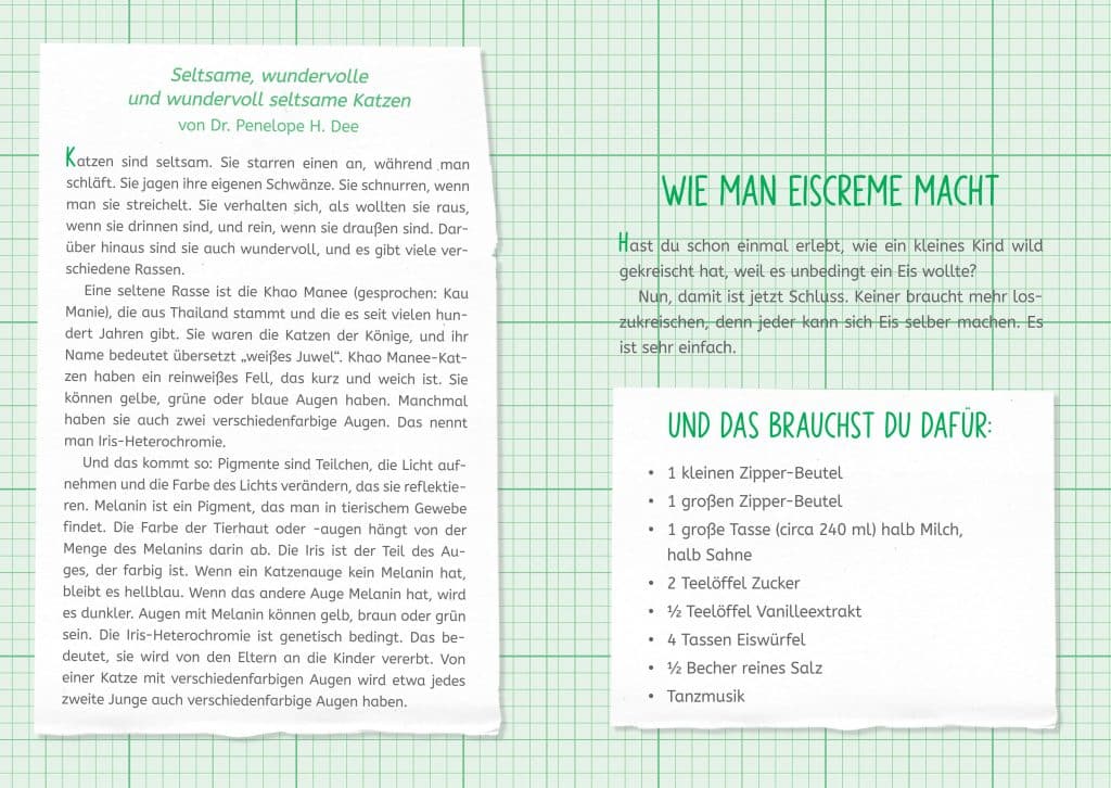 Die Forscherbande: Iggy Peck und das Geheimnis der alten Villa - Text über Katzen und Eiscreme - Rezept