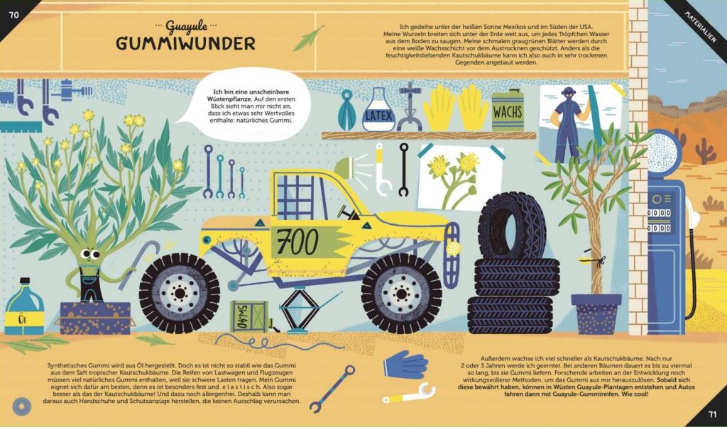 Geniale Power-Pflanzen - Guayule -Gummiwunder beschrieben und bebildert