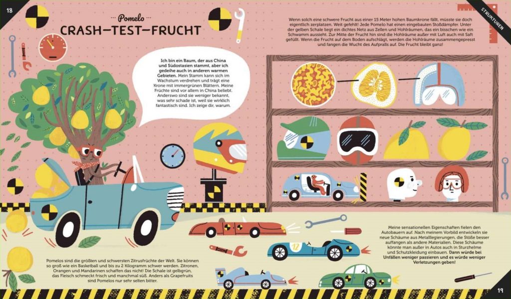 Geniale Power-Pflanzen - Pomelo -Crash-Test-Frucht beschrieben und dargestellt
