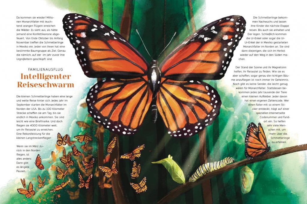 Wilde Wanderer - Schmetterlinge vor- und dargestellt