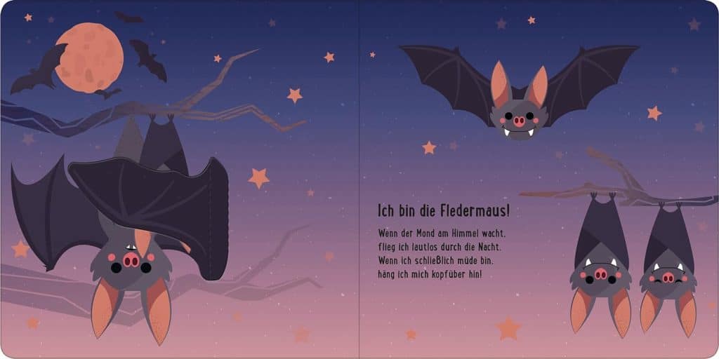 Zusammen sind wir bunt - Die Fledermaus kurze Aussagen und 4 Fledermäuse