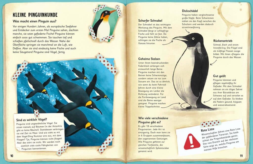 Was für Sachen Pinguine machen - Kleine Pinguinkunde: Abgebildet sind Pinguine sowie Fakten und Informationen als Text über diese Tiere.