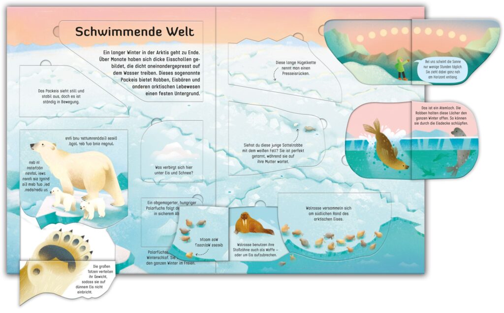 Welt der Extreme: Reise durch die Arktis - Schwimmende Welt: Abgebildet sind verschiedene Tiere, die in den polaren Regionen leben.
