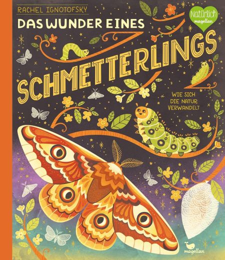 Buchcover: Das Wunder eines Schmetterlings