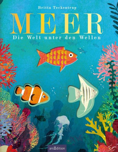 Buchcover: MEER - Die Welt unter den Wellen